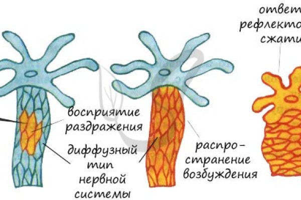 Омг омг оригинальная ссылка