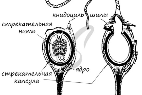 Омг омг оригинальная ссылка tor wiki online