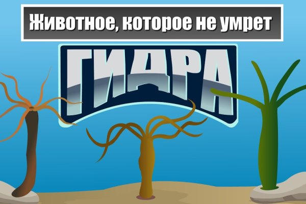 Omg площадка торговая